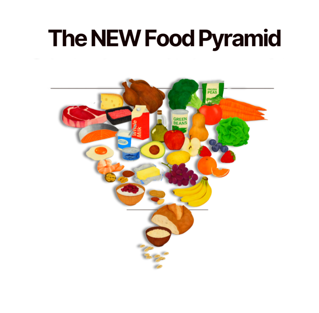 USDA's new p yramid with proteins on top