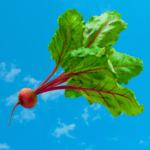 a beet flying through the air. beetroot red versus beetroot