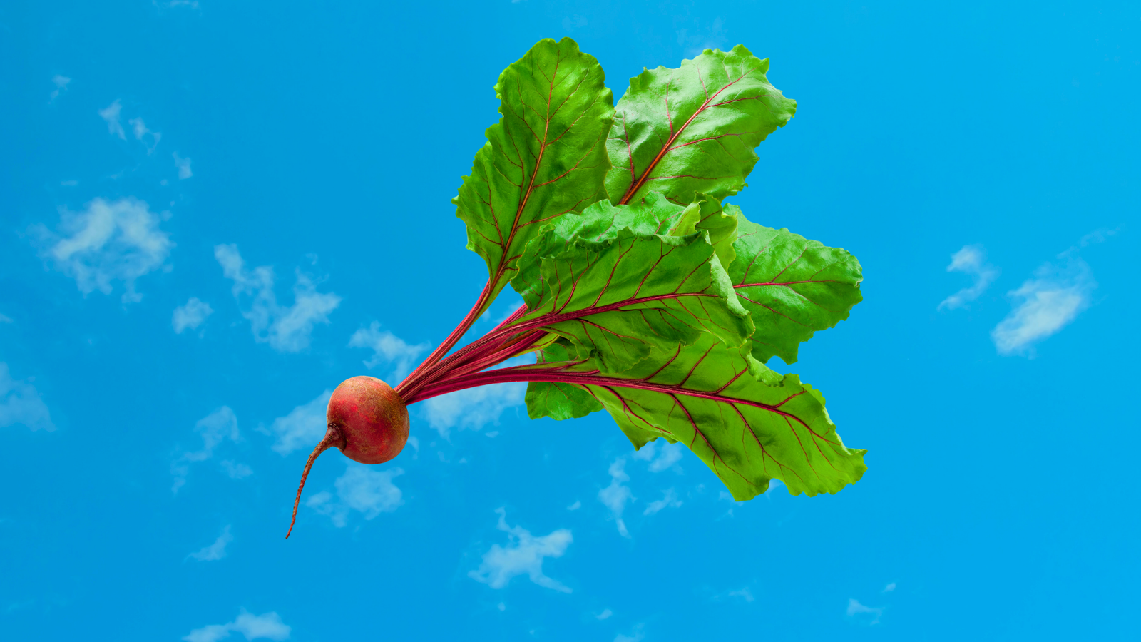 a beet flying through the air. beetroot red versus beetroot