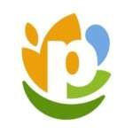 PepsiCo Nestle and Coca-Cola logos against a Mexico City skyline food market backdrop