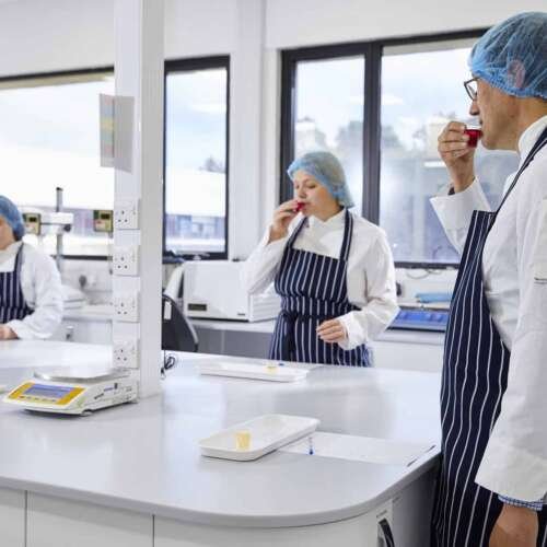 Scientists reviewing novel food regulatory documents in a research laboratory setting.