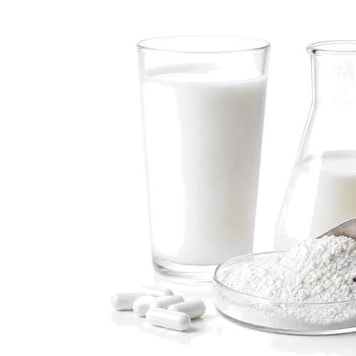 A small glass dish of fine white protein powder beside a laboratory flask on a bright white studio background