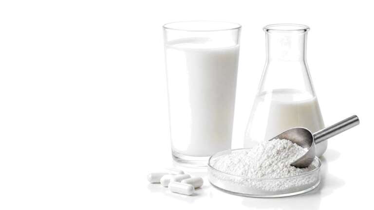 A small glass dish of fine white protein powder beside a laboratory flask on a bright white studio background