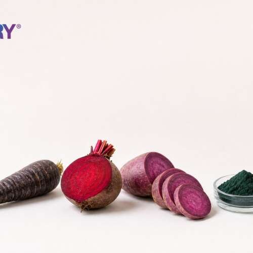Black carrot, beetroot, purple sweet potato and spirulina powder in a row, with the EXBERRY logo