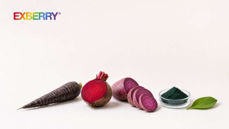 Black carrot, beetroot, purple sweet potato and spirulina powder in a row, with the EXBERRY logo