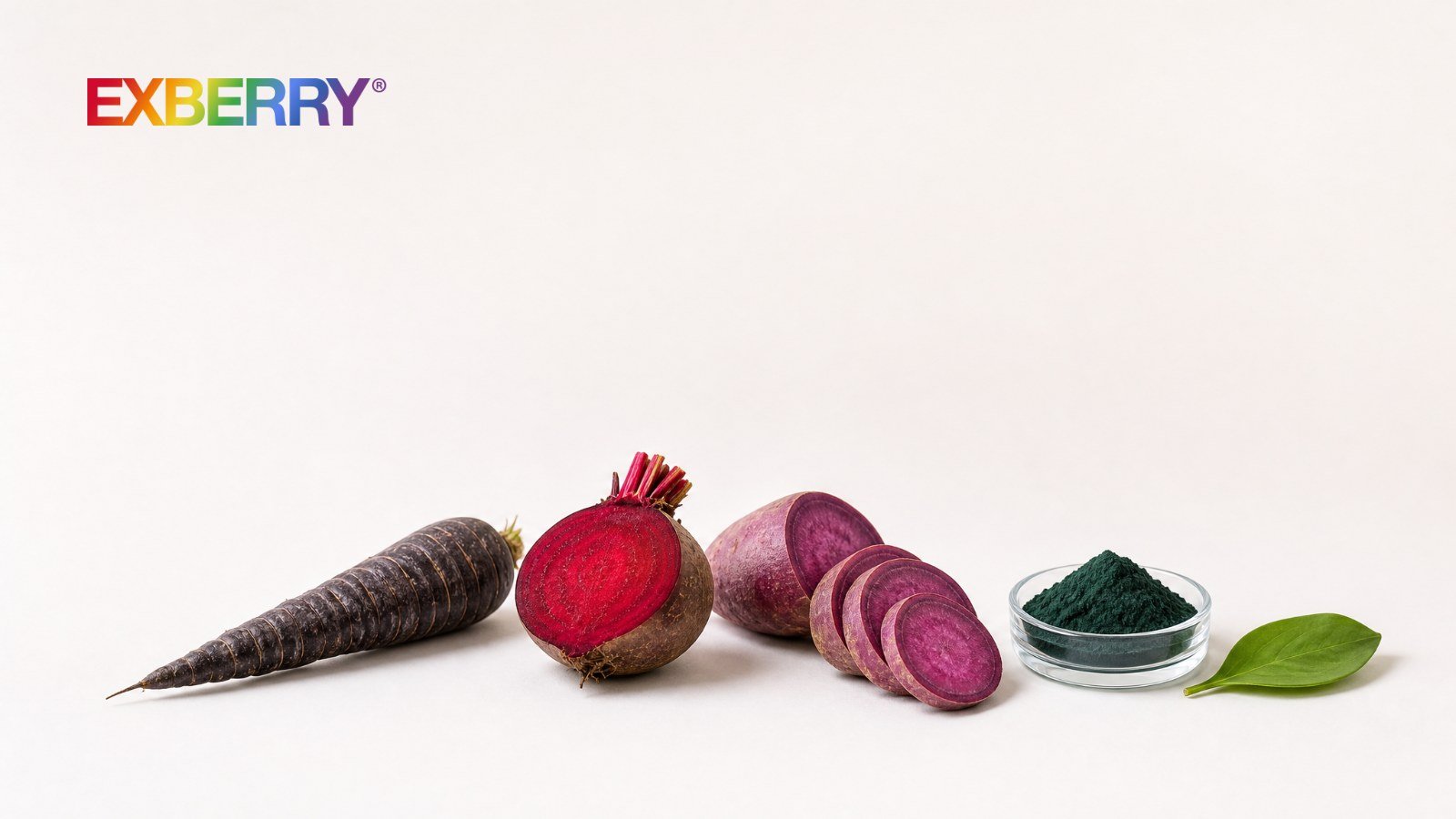Black carrot, beetroot, purple sweet potato and spirulina powder in a row, with the EXBERRY logo
