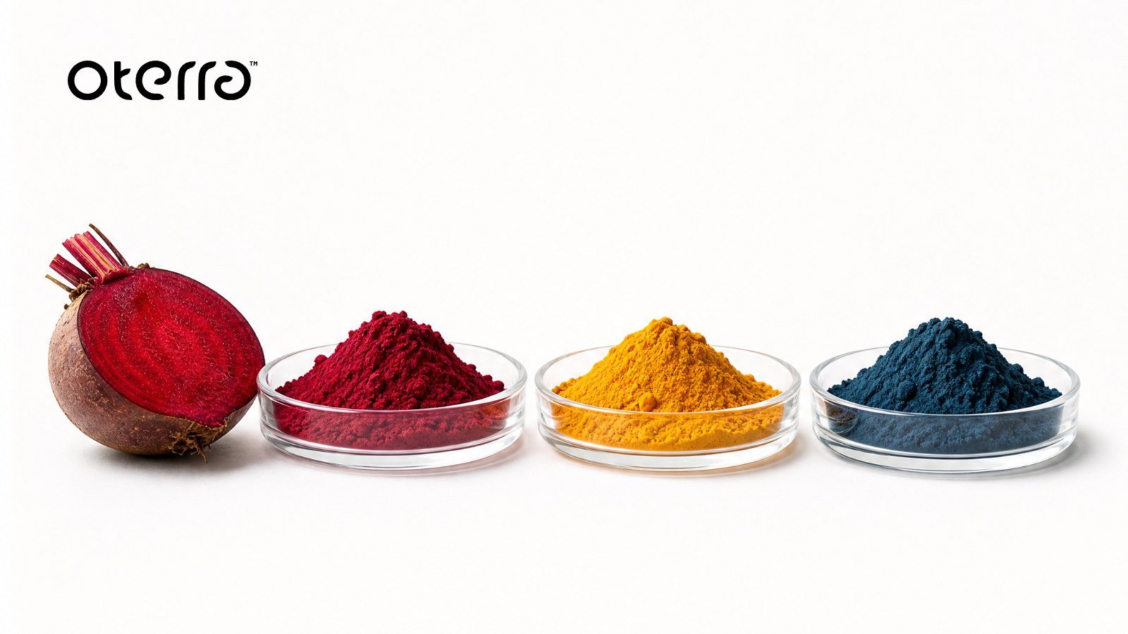 A halved beet beside dishes of red, yellow and blue natural color powders, with the Oterra logo