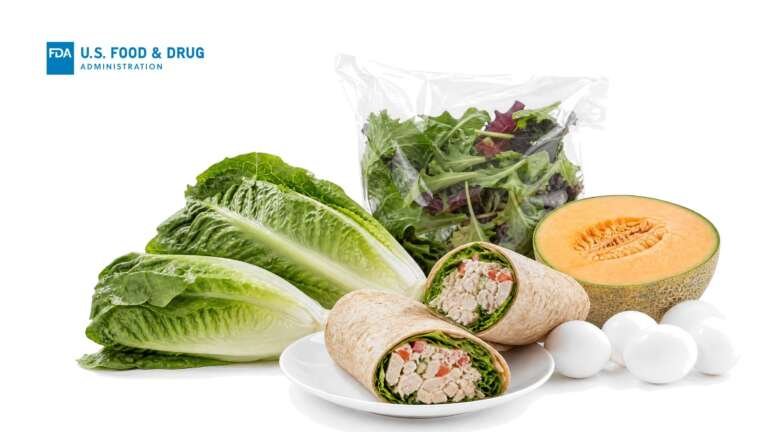 Romaine lettuce, a bag of salad greens, a halved cantaloupe, white eggs and a halved chicken salad wrap on white, with the FDA logo